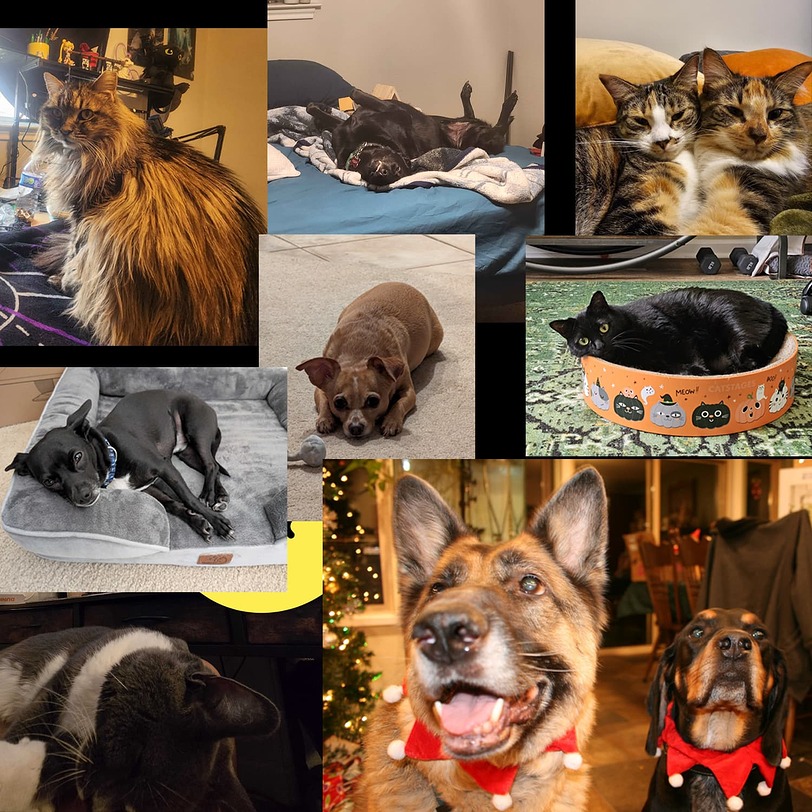 EHGPets