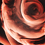 Leptkar